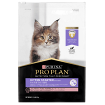 Kitten formula south africa discount